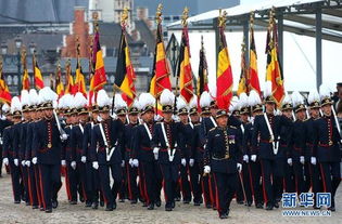 比利时国庆阅兵纪念一战百年 高清组图