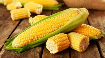 喜欢吃玉米的朋友看过来 这些关于玉米的小常识,你一定要记牢了
