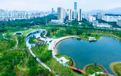 深圳公园推荐 就藏在市区,第一个就够玩一天