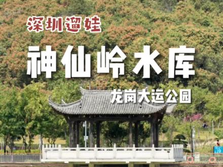 深圳免费停车地点攻略(莲花庄公园有免费停车场呢)