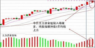 A股科创板主力资金流向（2022年7月24日）