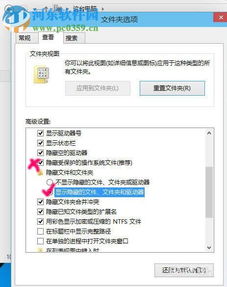 win10显示隐藏文件没用