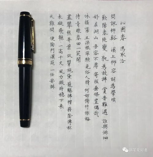 阿雄点评 冯取洽 沁园春 钢笔字练字打卡作业欣赏