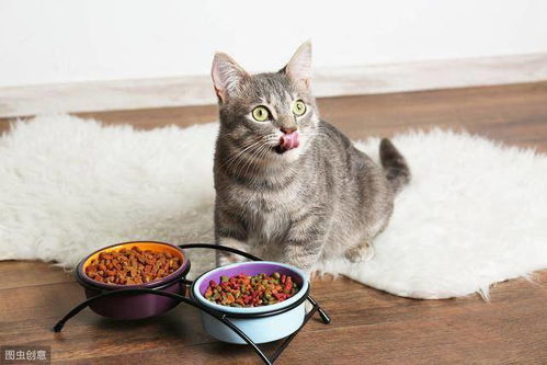 为什么猫咪不吃掉在地上的猫粮,其实是惯出来的