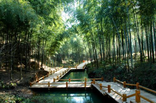 天目湖山水园和南山竹海哪个比较好玩 只有一天能都玩过来吗 