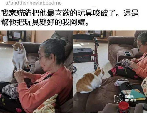 友情是可以跨越种族的