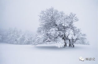 5招速成教你完美拍出雪景大片