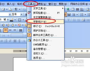 wps怎么查看字数如何知道一篇wps文档有多少字 