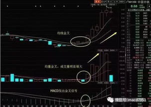 辩论：散户适不适合炒股