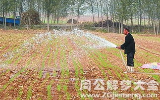 梦见浇地是什么意思 梦到浇地好不好 大鱼解梦网 