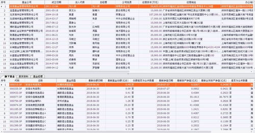 基金重仓基金投资是什么？