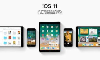 苹果发布iOS 11更新率 问题太多,用户不愿意升级,遭网友吐槽 