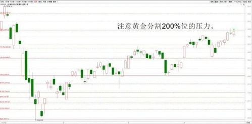 股友，你好！你知道哪有可设多条多日K线的证券软件吗？