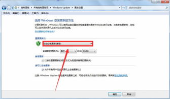 微软win10安装程启动出错