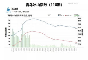 临沂再次登上 冰山指数 涨幅榜首 深入了解 冰山指数