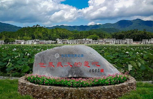 喜报 广昌姚西生态旅游景区被认定为 江西省省级生态旅游示范区