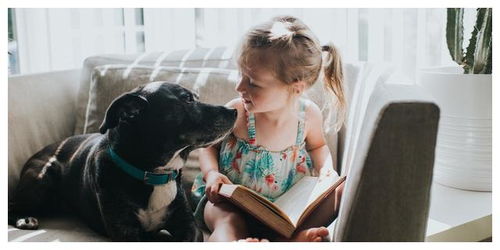 养狗会影响孩子读书吗 狗狗陪着孩子一起读书,其实是不错的选择