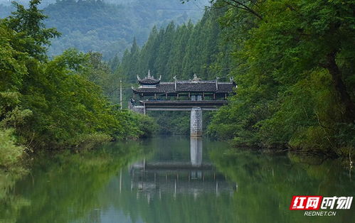 湖南10地拟推荐为全国乡村旅游重点村镇,有你的家乡吗