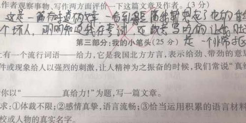 小学生期末卷子火了,老师改卷子一会哭一会笑,网友 这卷子真香