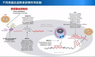 如果艾滋病携带者耐药,应如何保护好自己身边的人 