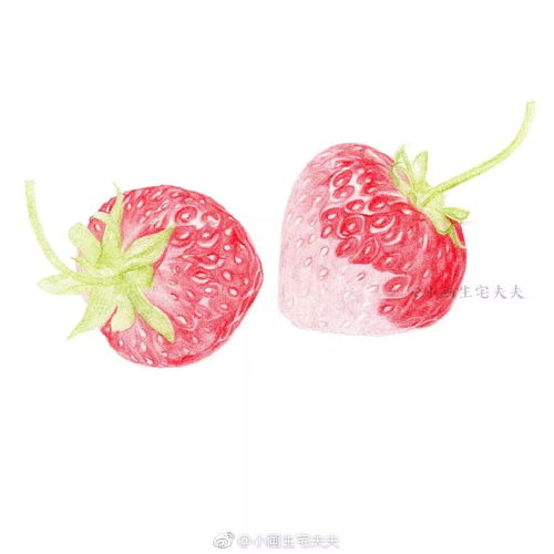 教你画一颗诱人的草莓