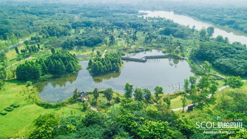 北京免费停车场的公园有哪些景点,北京青龙湖湿地公园收费吗青龙湖湿地公园门票多少钱