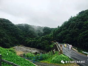 旅游攻略 玩转清原筐子沟 风里雨里筐子沟等你