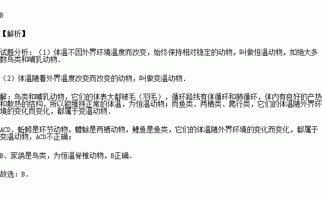 下列动物中体温恒定的是