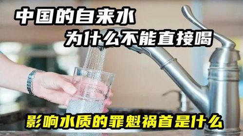 中国的自来水为什么不能直接喝 影响水质的罪魁祸首是什么