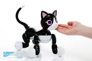 Takaratomy猫型机器人负责跟你卖萌耍宝