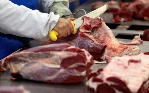 中国在来自不同国家的冷冻牛肚上发现冠状病毒