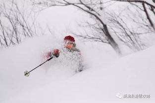 跟我念 新潟的 XI 中国雪友在新潟滑雪这事儿上都在犯同一个错