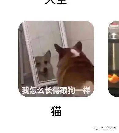 你的青春VS别人的青春.... 哈哈哈哈哈哈快别骂了别骂了