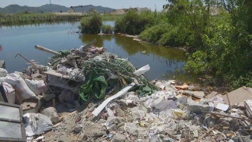 曝光 究竟谁干的 澄海某地这一池碧水竟变成黄水