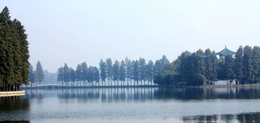关于武汉东湖的诗句