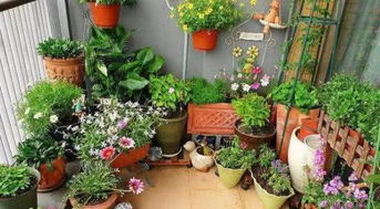 室内绿化植物摆放应注意的问题 