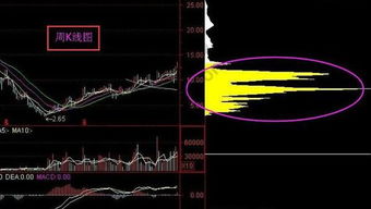 周k线上的筹码分布和日K线上的筹码分布为什么不一样 请说得详细点，最好包括计算公式和分析方法？