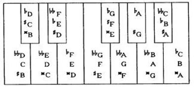 乐理知识 音级在键盘上的位置 八度