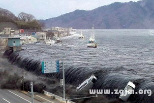 梦见山崩海啸大家逃亡(梦见山崩海啸是什么意思)