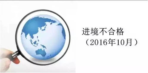 【JN江南·(中国)体育官方网站】美国艺术学院排名TOP10！第一名是萨凡纳艺术与设计学院(图3)