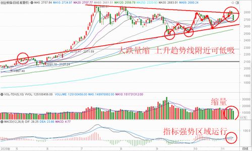 缩量大跌的票能买吗？