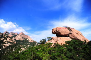 崂山旅游景区门票多少钱 (崂山哪里能免费停车场便宜)