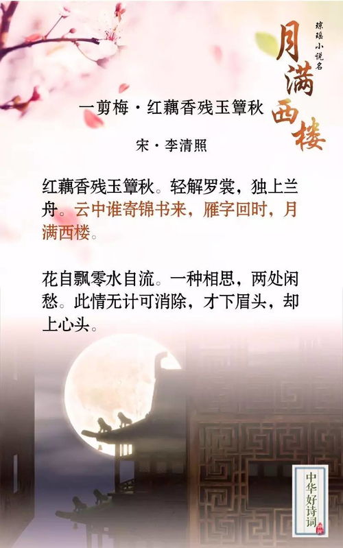 中华好诗词 琼瑶剧名都在优美的古诗词中,字字经典 