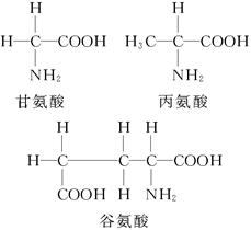 催产素.血管舒张素都是含有9个氨基酸的多肽.但生理功能不同.主要原因可能是两种多肽的①氨基酸种类不同 ②氨基酸排列顺序不同 ③氨基酸结合方式不同 ④在细胞内合成的场所不同 