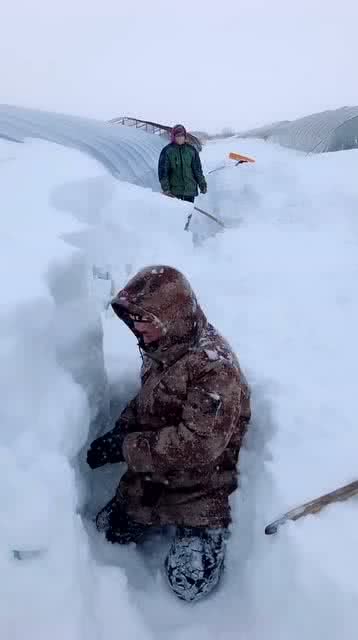 下的大暴雪,好激动 