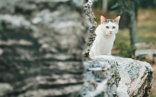 十一月花钱猛如虎,这几个星座却不怕,事业 财运猛涨