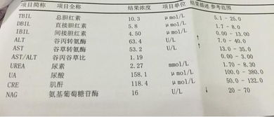 肝功能检查 血糖高加肝功能高如何治疗不会影响怀孕 如何合理用药副作用最小