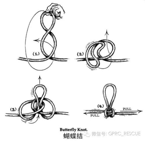 蝴蝶结 BUTTERFLY KNOT 即中间结 LINEMAN S LOOP 