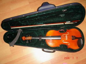 小提琴琴弓该怎样放在琴盒里 