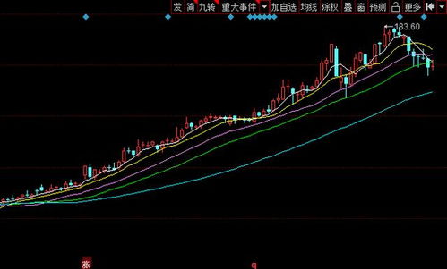 请问林园选的那20只股票都是哪些？